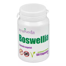ACIDO BOSWELLICO, 60 CAPSULAS