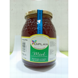 MIEL EUCALIPTO 1 KG DIPLAN