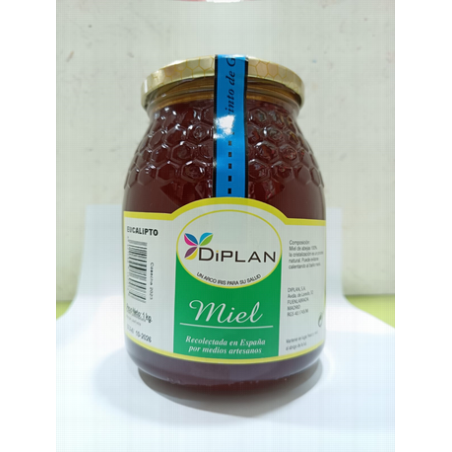 MIEL EUCALIPTO 1 KG DIPLAN