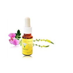 ALBARICOQUE ESENCIA FLORAL MEDITERRANEO 20ML
