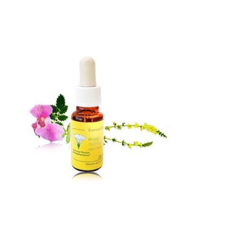 ALBARICOQUE ESENCIA FLORAL MEDITERRANEO 20ML