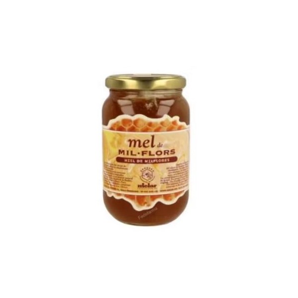 MIEL MIELAR MIL FLORES 500GR