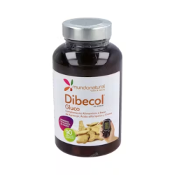 DIBECOL GLUCO 90CAP MUNDO NATURAL