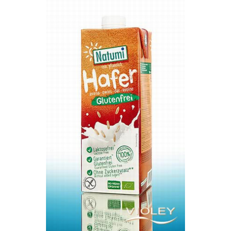 LECHE AVENA S/G 1L BIO NATUMI
