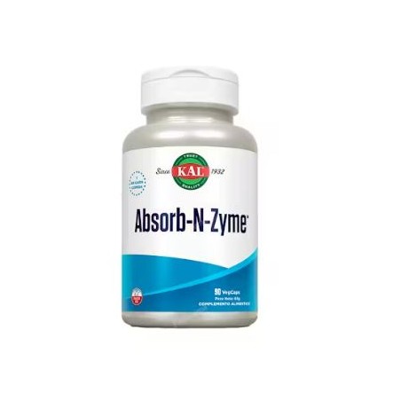 ABSORB-N-ZYME- 90 COMPRIMIDOS