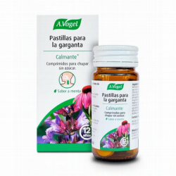 PASTILLAS PARA LA GARGANTA 20 COMPRIMIDOS SABOR MENTA