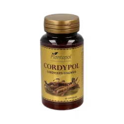 CORDYPOL CORDYCEPS c/VIT C 60cap PLANTAPOL