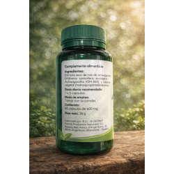 ASHWAGANDHA KSM 66 60 CAPS PREMIUM NATURA