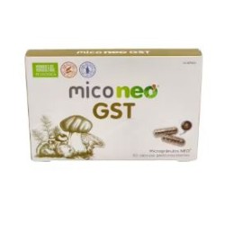 MICONEO GST 60 CAPSULAS