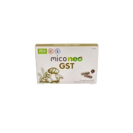 MICONEO GST 60 CAPSULAS