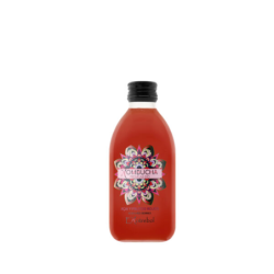 KOMBUCHA ACAI Y FRUTOS ROJOS 250 ML