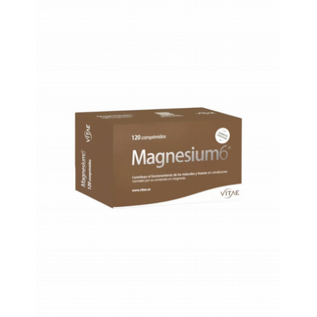 MAGNESIUM6  VITAE 120 COMP