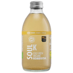 KOMBUCHA SUPER ROOTS BIO 250 ML