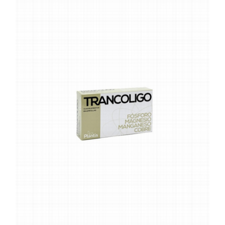TRANCOLIGO LI-MG-MN-P 20AMP