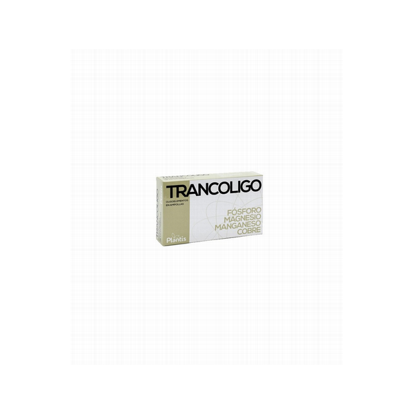 TRANCOLIGO LI-MG-MN-P 20AMP
