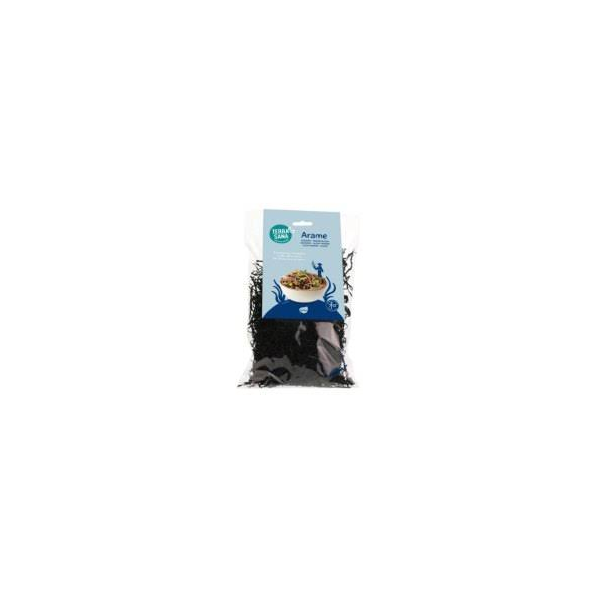 ARAME 100GR TERRASANA