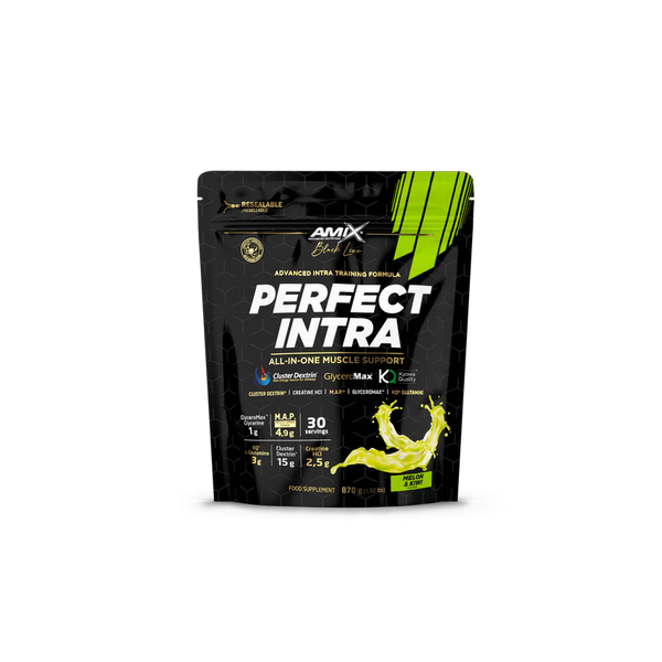 AMIX PERFECT INTRA 870g melon kiwi