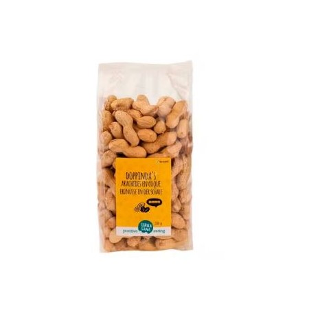CACAHUETE CASCARA TOSTADOS 330G