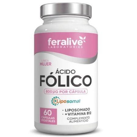 ÁCIDO FÓLICO + B12 60 CAP