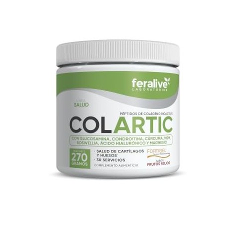 COLARTIC 270 GRS FRUTOS ROJOS