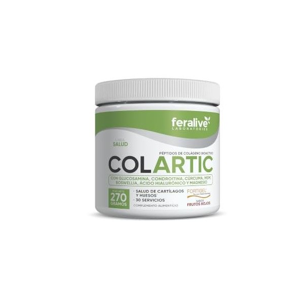 COLARTIC 270 GRS FRUTOS ROJOS