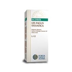 LES FAGUS SYLVATICA L-12 50ML