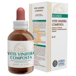 VITIS VINIFERA COMPOSTA 50ML
