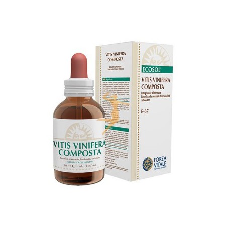 VITIS VINIFERA COMPOSTA 50ML