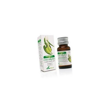 ESENCIA EUCALIPTO 15ML S/N