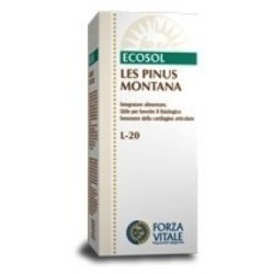 LES PINUS MONTANA