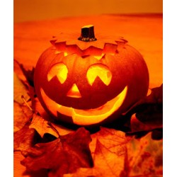 CALABAZA PARA VELAS