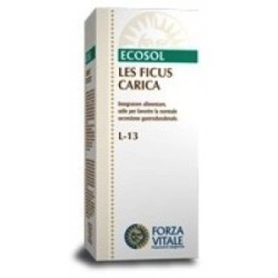 LES FICUS CARICA L-13 50ML