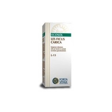 LES FICUS CARICA L-13 50ML