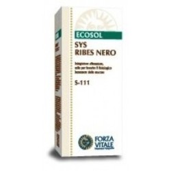 SYS RIBES NERO 50ML F.V.