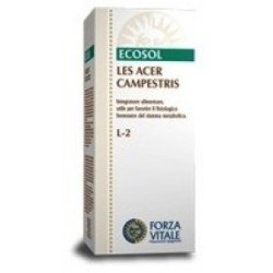 LES ACER CAMPESTRIS F.V.