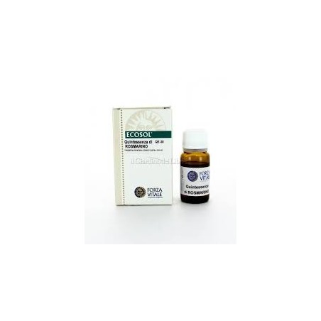 QES ROSMARINO (ROMERO) 10ML