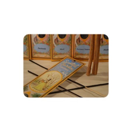 INCIENSO STICK S.G.ALOE VERA