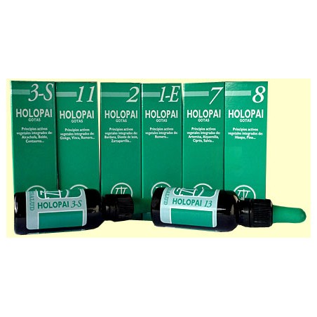 HOLOPAI 11 CIRCULACION  CEREBRAL 31ML