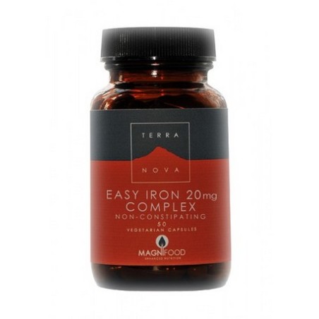HIERRO BISGLICINATO 50CAP T.N.