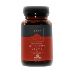 BILBERRY 360MG 50CAP TERRANOVA