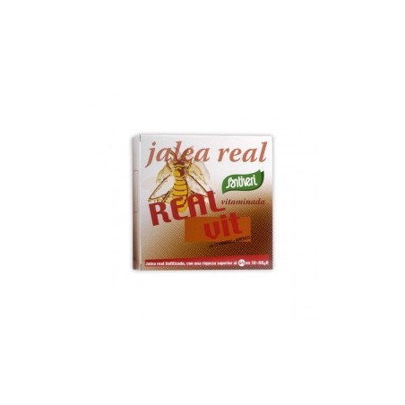 REALVIT VITAMINADA 20 VIALES