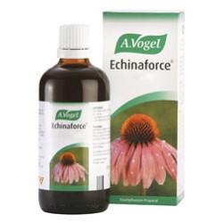 ECHINAFORCE 50-ML VOGUEL