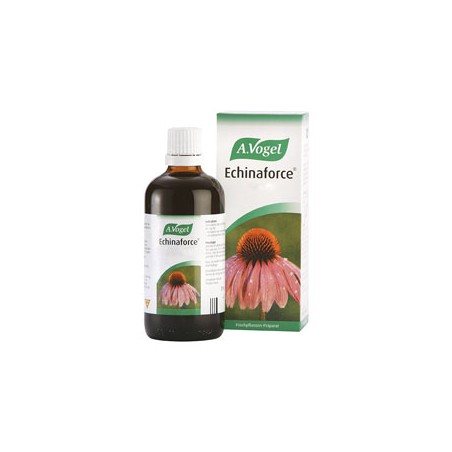 ECHINAFORCE 50-ML VOGUEL