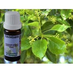 ESENCIA RAVINTSARA 5-ML