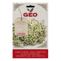 SEMILLAS DE CEBOLLINO GEO BIO, 6 g