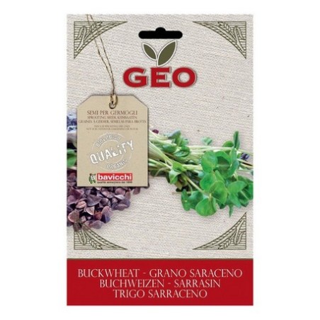 SEMILLAS DE TRIGO SARRACENO GEO BIO, 90 g