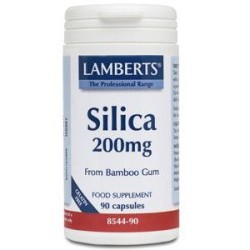 SILICIO 200MG 90 CAP LAMBERTS