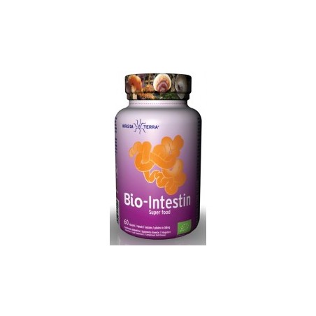 BIO INTESTIN 60CAPS HIFAS DA TERRA