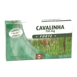 COLA DE CABALLO FORTE