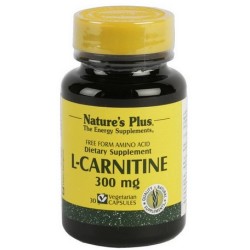 L-CARNITINA 300MG 30CAP N/P